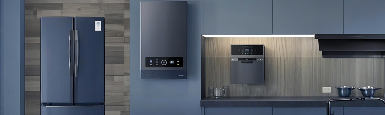 HOUSEHOLD APPLIANCE